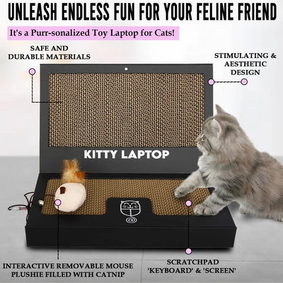 Kitty Laptop (cat toy shaped like a laptop)