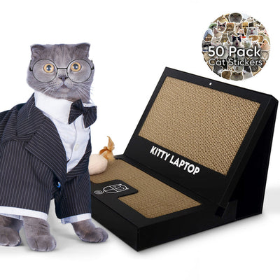 Kitty Laptop (cat toy shaped like a laptop)
