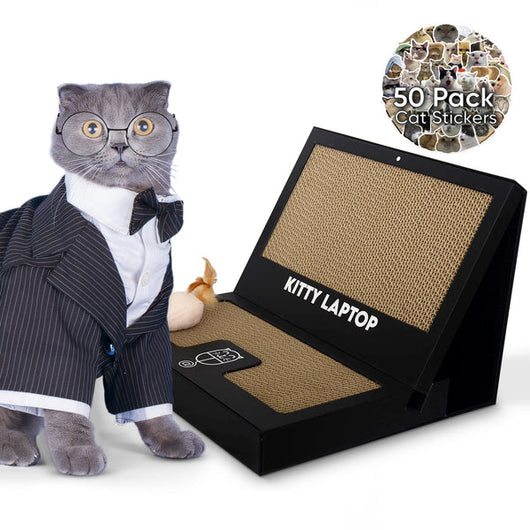 Kitty Laptop (cat toy shaped like a laptop)