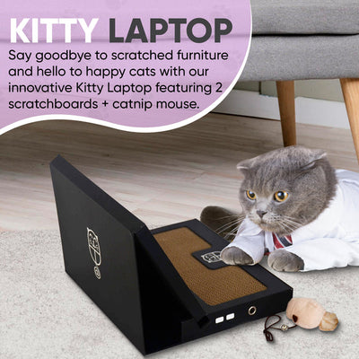 Kitty Laptop (cat toy shaped like a laptop)