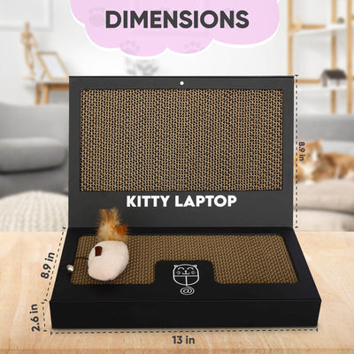 Kitty Laptop (cat toy shaped like a laptop)