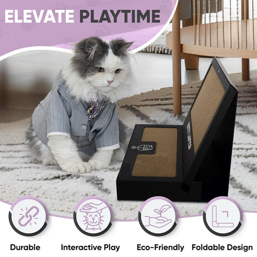 Kitty Laptop (cat toy shaped like a laptop)