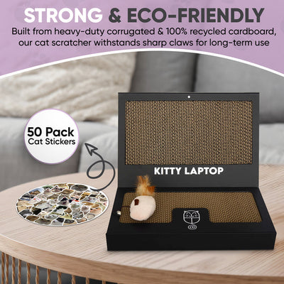 Kitty Laptop (cat toy shaped like a laptop)