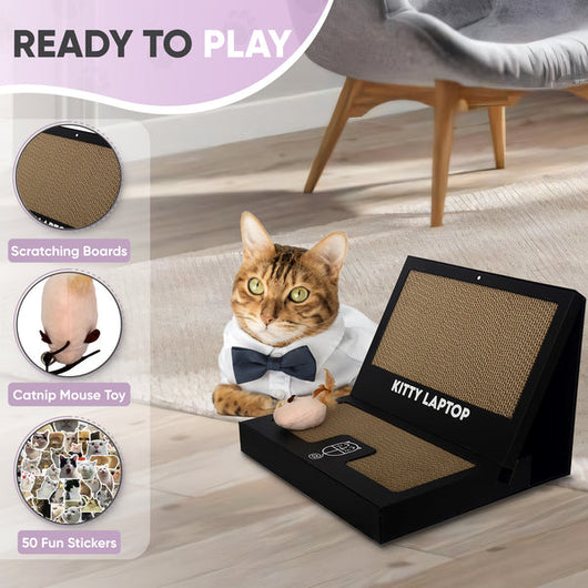 Kitty Laptop (cat toy shaped like a laptop)