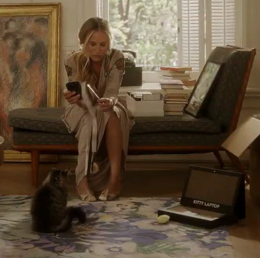 Kitty Laptop (cat toy shaped like a laptop)