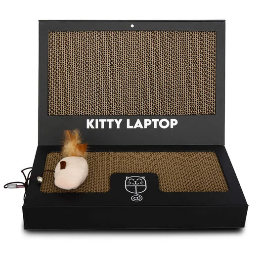 Kitty Laptop (cat toy shaped like a laptop)
