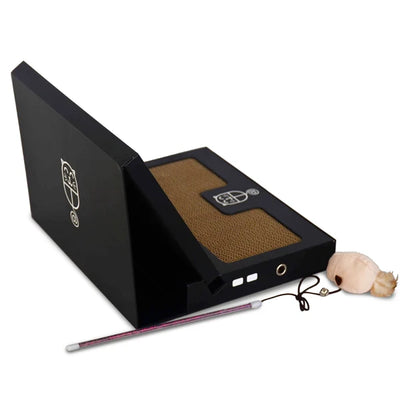 Kitty Laptop (cat toy shaped like a laptop)