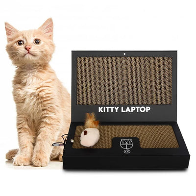 Kitty Laptop (cat toy shaped like a laptop)