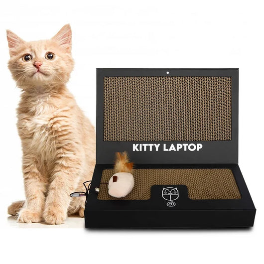 Kitty Laptop (cat toy shaped like a laptop)